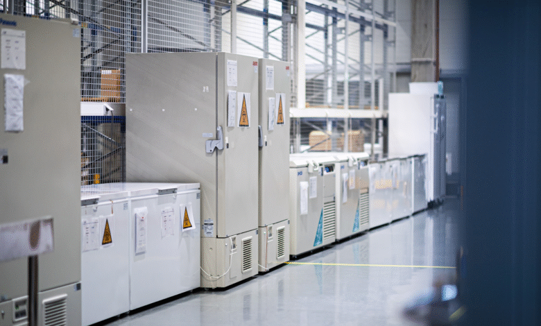 How GMP Warehouse Services Protect Your Pharmaceutical Products