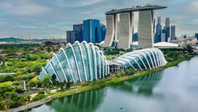Singapore Tour Packages with Indian Meals: Family Travel Guide by Flamingo Travels